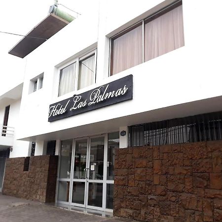 Hotel Las Palmas Arica Extérieur photo