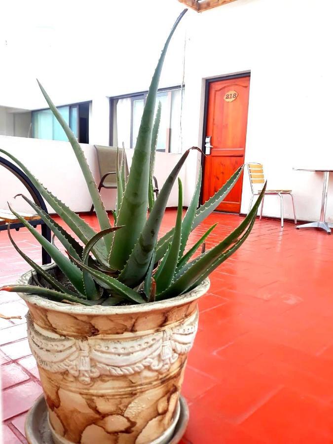 Hotel Las Palmas Arica Extérieur photo